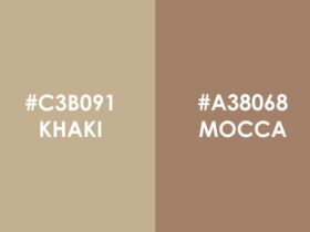 Warna Khaki Cocok dengan Warna Apa Panduan Kombinasi Warna Khaki agar Terlihat Stylish